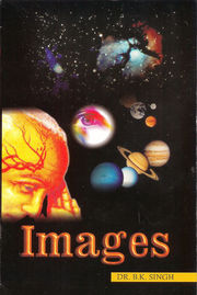 232 Pages, Size; 7" x 9.5" $10 U.S., $15 Canadian